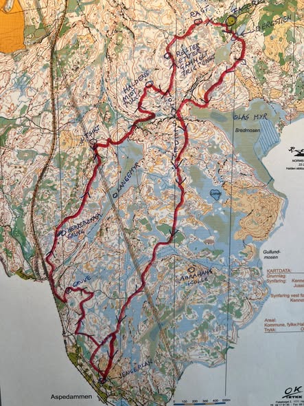 skåre